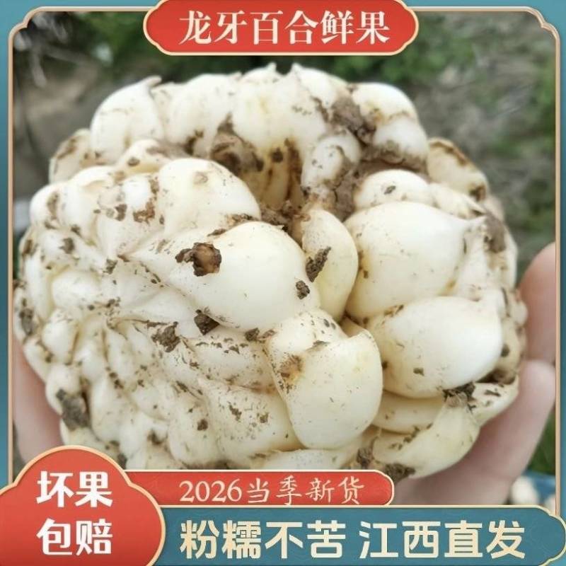 龙牙百合鲜果