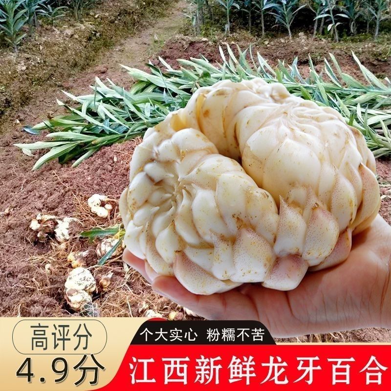 龙牙百合鲜果