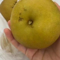 黄花梨