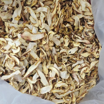 一级牛肝菌(白葱)干片