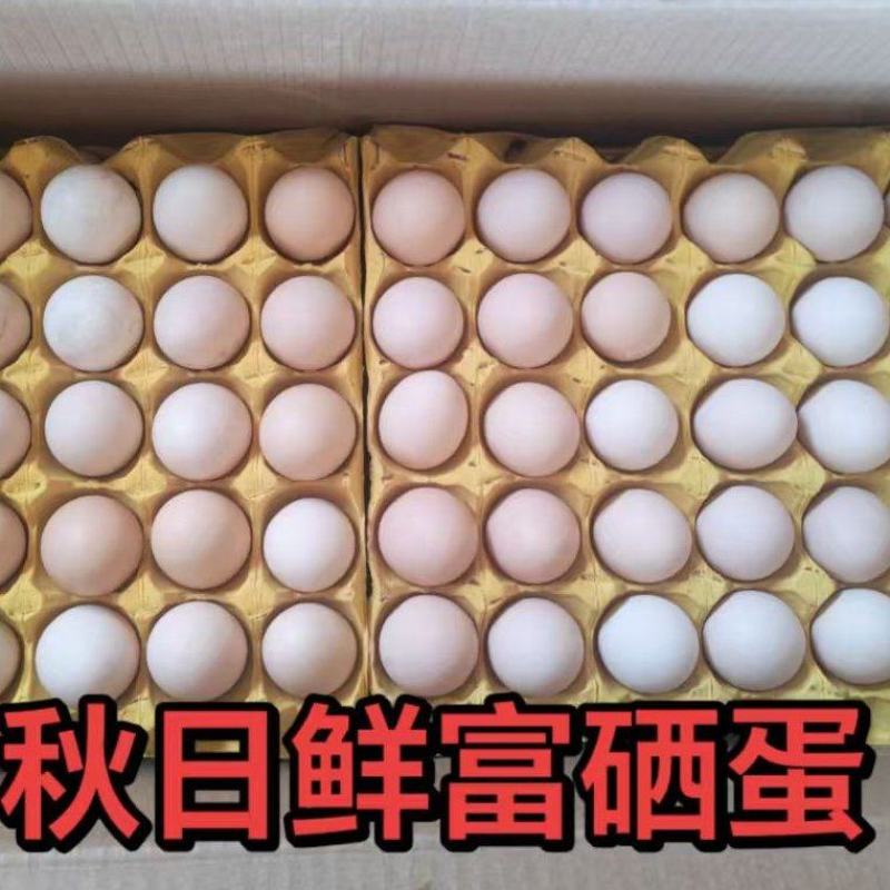 秋日鲜富硒蛋