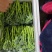 精品西兰苔鲜货甜苔需要的联系价格美丽西兰花也有