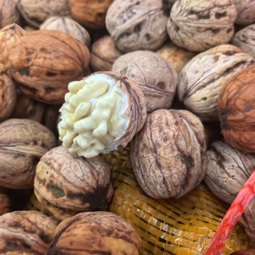 鲜核桃，利润高售后少，一件代发