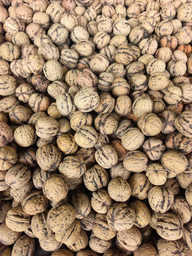 鲜核桃，利润高售后少，一件代发
