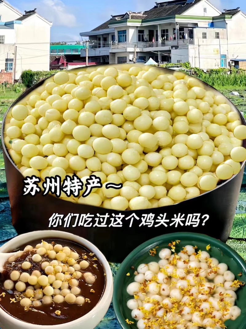 2026苏州本地纯手剥新鲜鸡头米当日现发，预计7月20