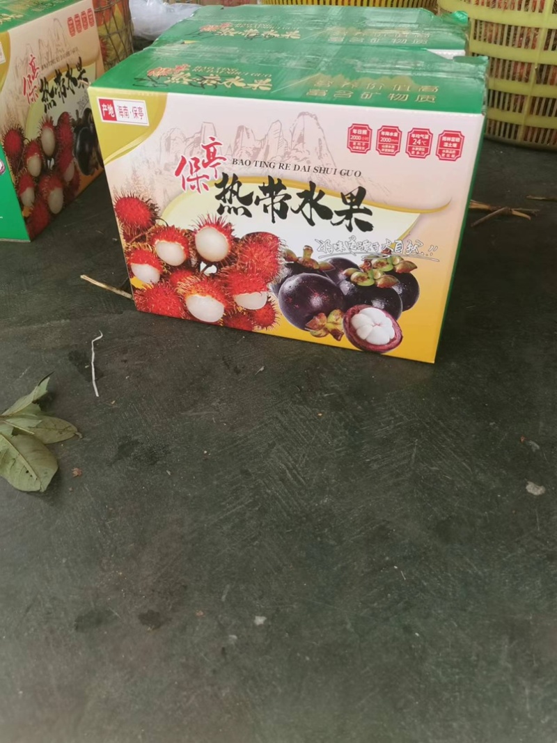 保亭红毛丹