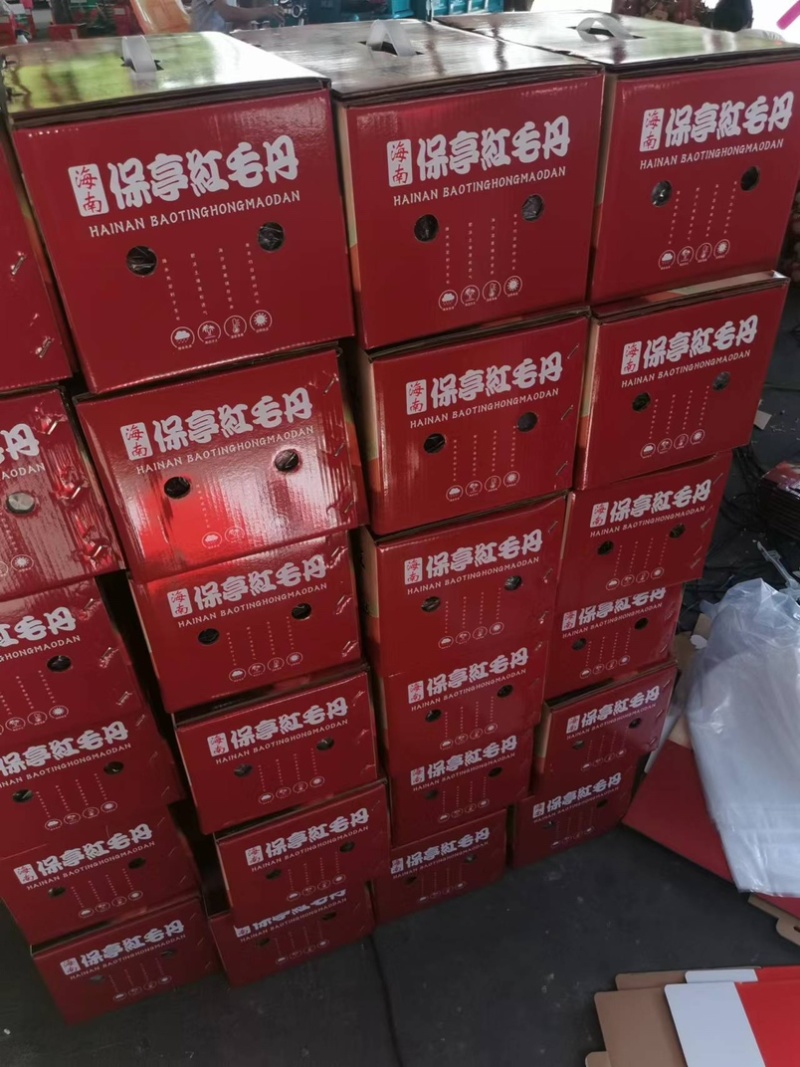 保亭红毛丹