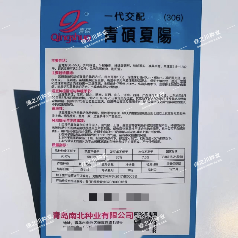 青硕夏阳大白菜种子早熟杂交耐热耐湿夏秋季白菜种籽
