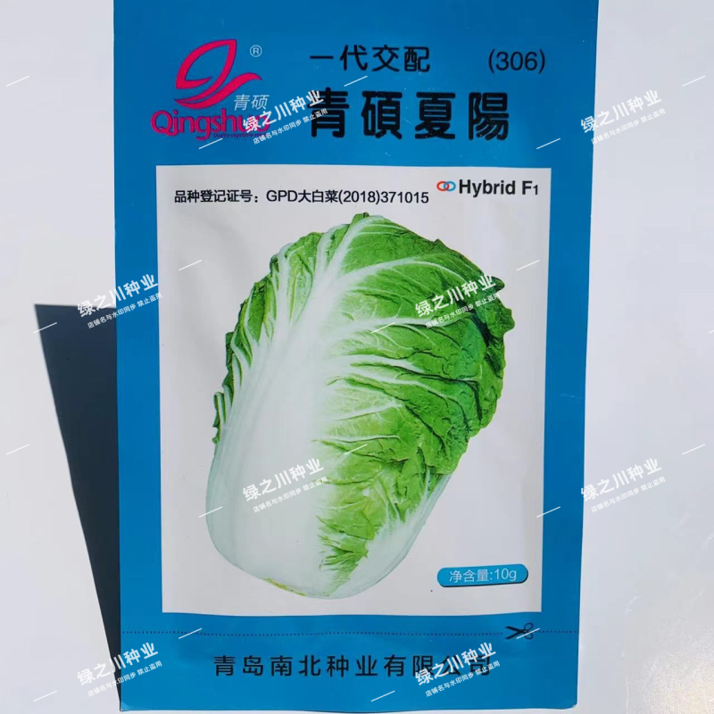 青硕夏阳大白菜种子早熟杂交耐热耐湿夏秋季白菜种籽