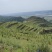 甘肃平凉有500亩山地塬地！出租壹捌玖玖叁叁零叁捌玖柒