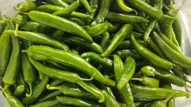 牛角椒，尖椒