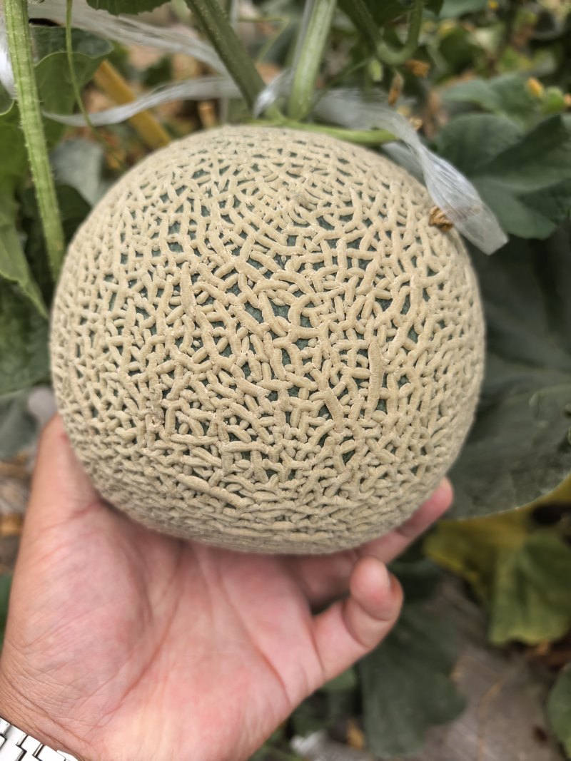 牛三
