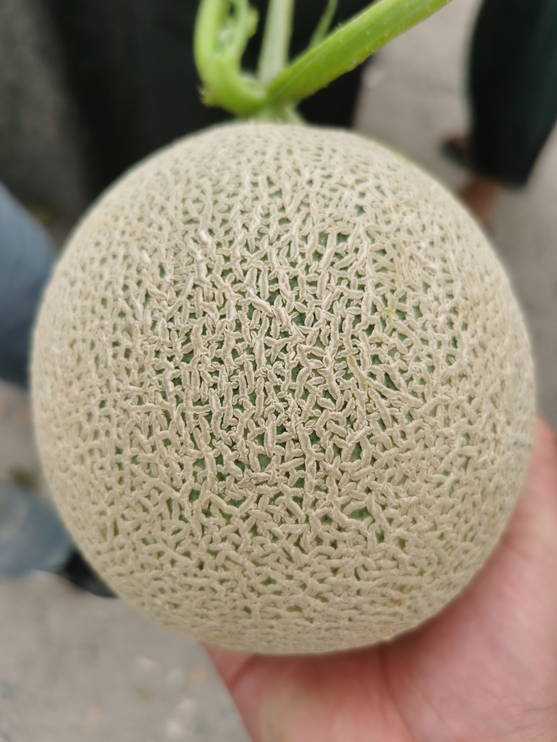 牛三
