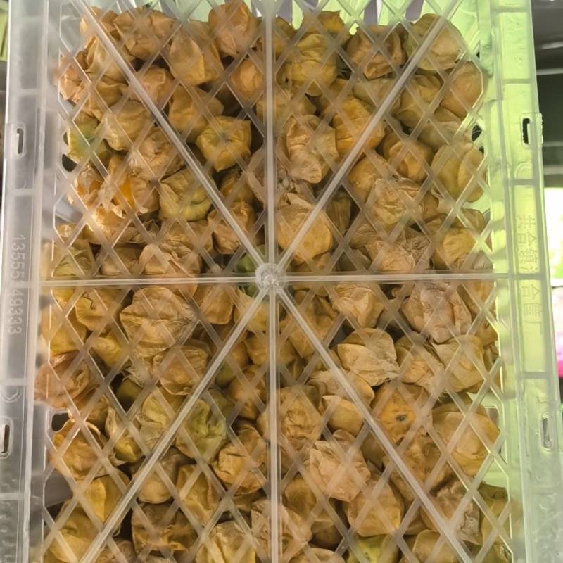 电商高品质货源，姑娘果品质好，价格低想要代发市场批发的老板来