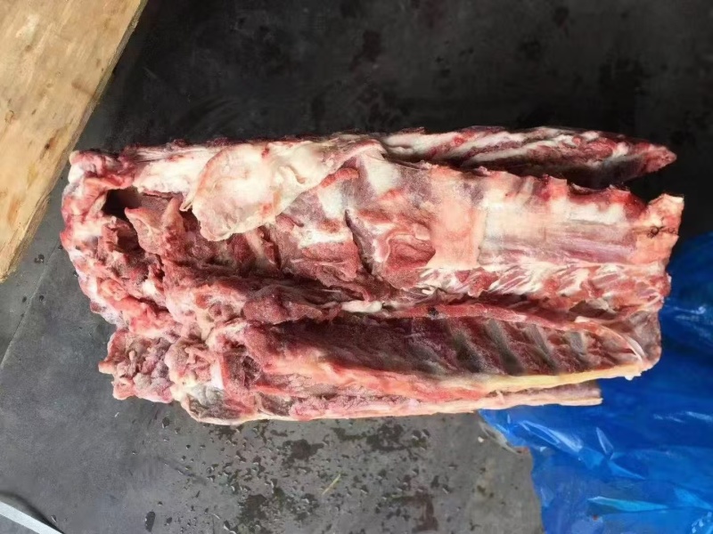 大羊羊蝎子,全国发货,量大优惠