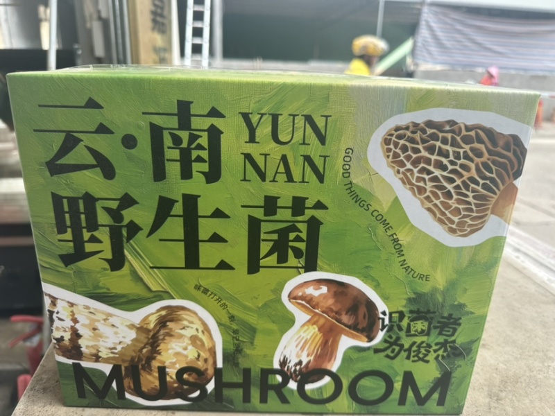 云南深山香格里拉原产地源头一手好货