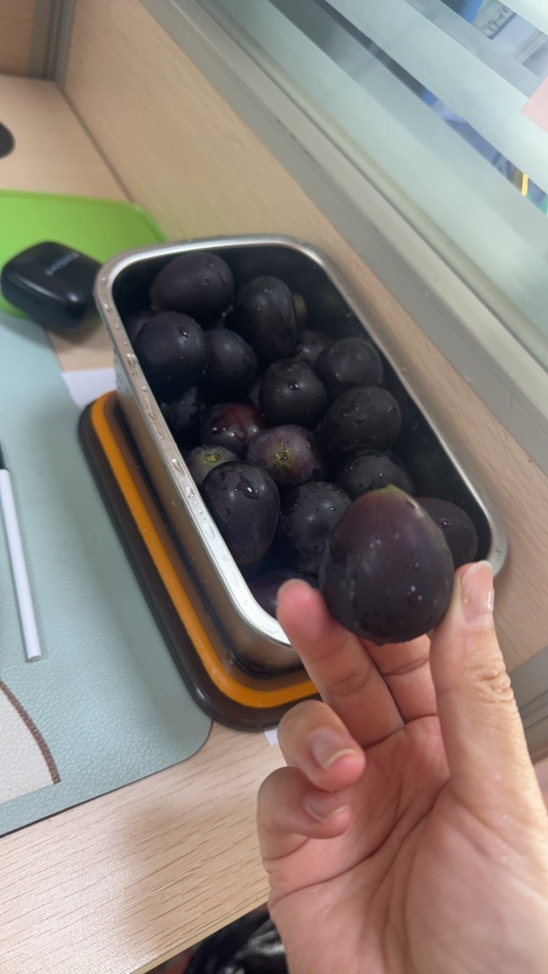 辽南巨峰葡萄，颗粒饱满，糖度16+，新鲜多汁，现摘现发