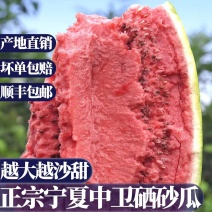 （宁夏硒砂瓜）石头瓜/金城五号/产地批发/价格来电商议