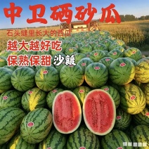 （宁夏硒砂瓜）石头瓜/金城五号/产地批发/价格来电商议