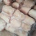 带皮小肘子