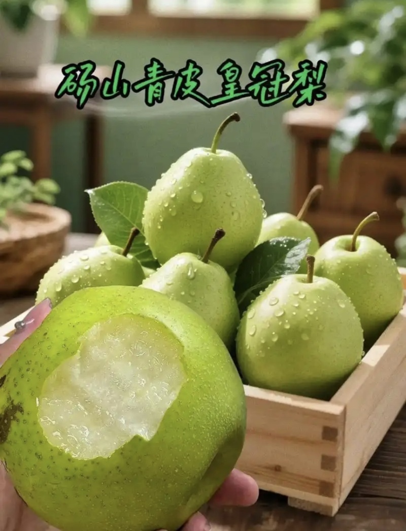 【推荐】安徽皇冠梨青皇冠梨白皇冠梨规格齐全欢迎采购