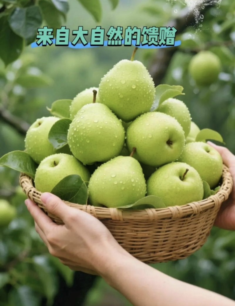 【推荐】安徽皇冠梨青皇冠梨白皇冠梨规格齐全欢迎采购