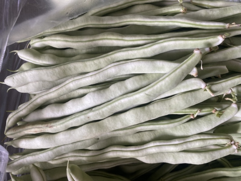 天水精品白芸豆