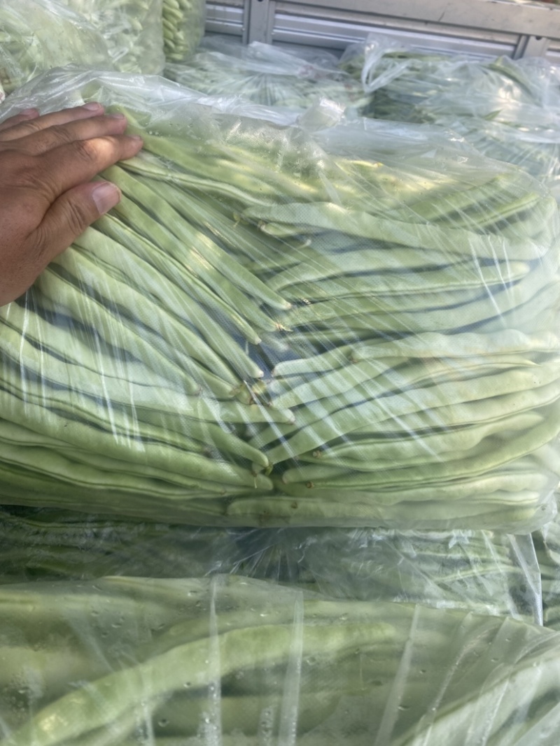 天水精品白芸豆
