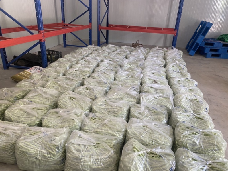 天水精品白芸豆