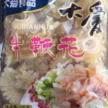 大爱牛鞭花