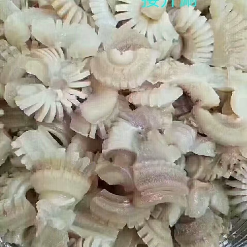 大爱牛鞭花