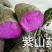紫山药