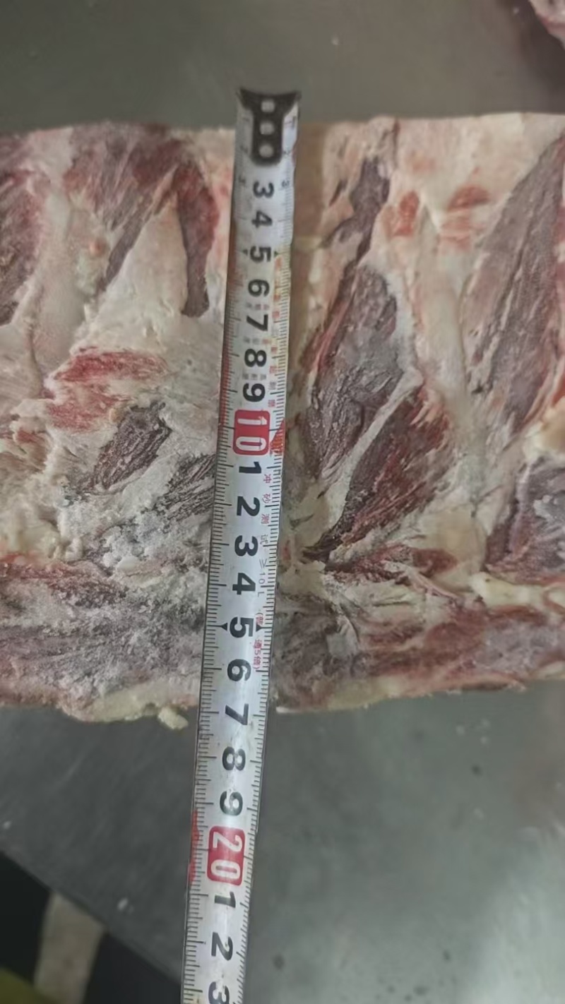 牛肋眼骨