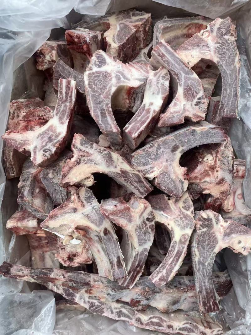 牛肋眼骨