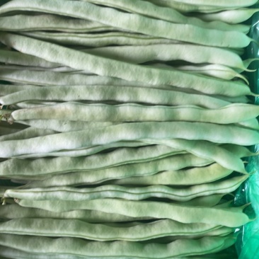 天水精品白芸豆