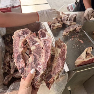 牛燕翅骨