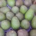 秘鲁哈斯牛油果
