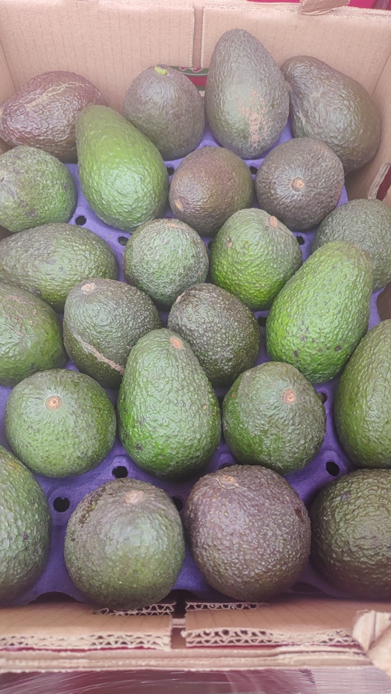 秘鲁哈斯牛油果