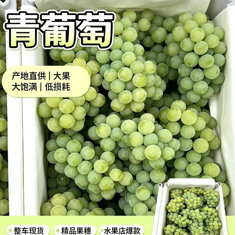 青葡萄，巨峰青葡萄，罐头厂，果汁厂，青葡萄扒皮