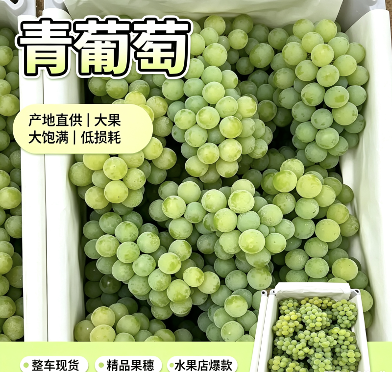 青葡萄，巨峰青葡萄，罐头厂，果汁厂，青葡萄扒皮