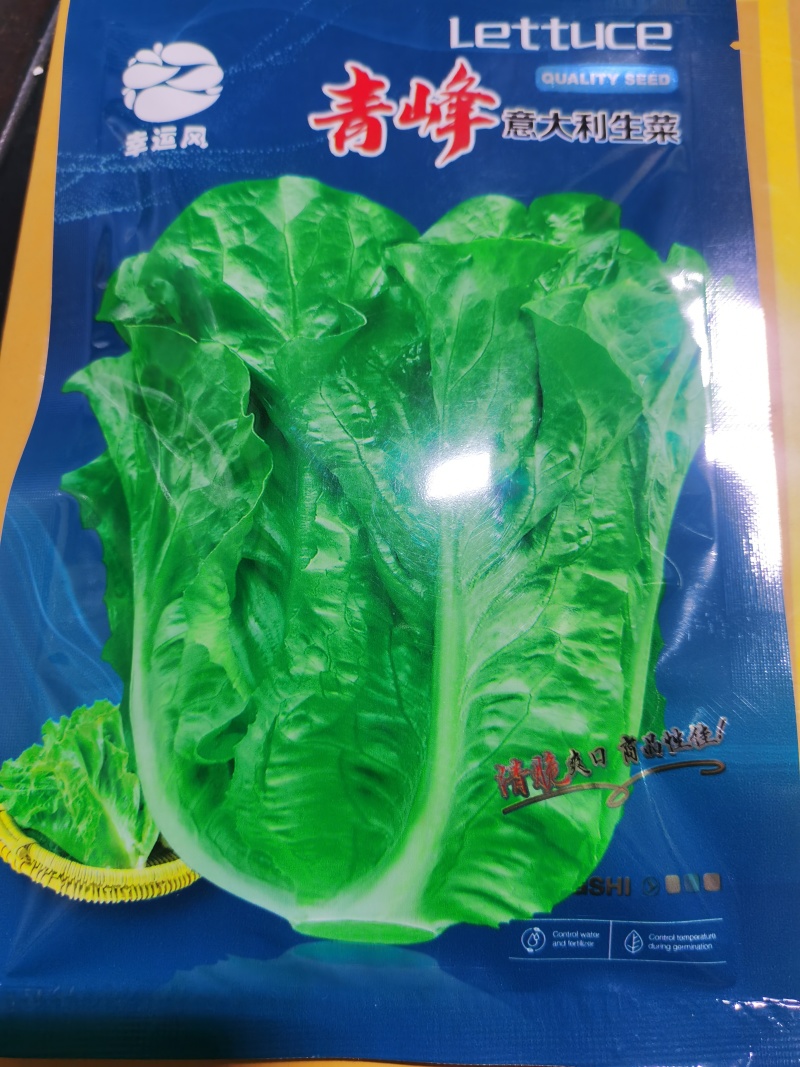 青峰全年耐抽意大利耐热耐寒耐抽苔品质优