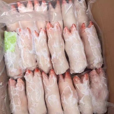 小猪蹄