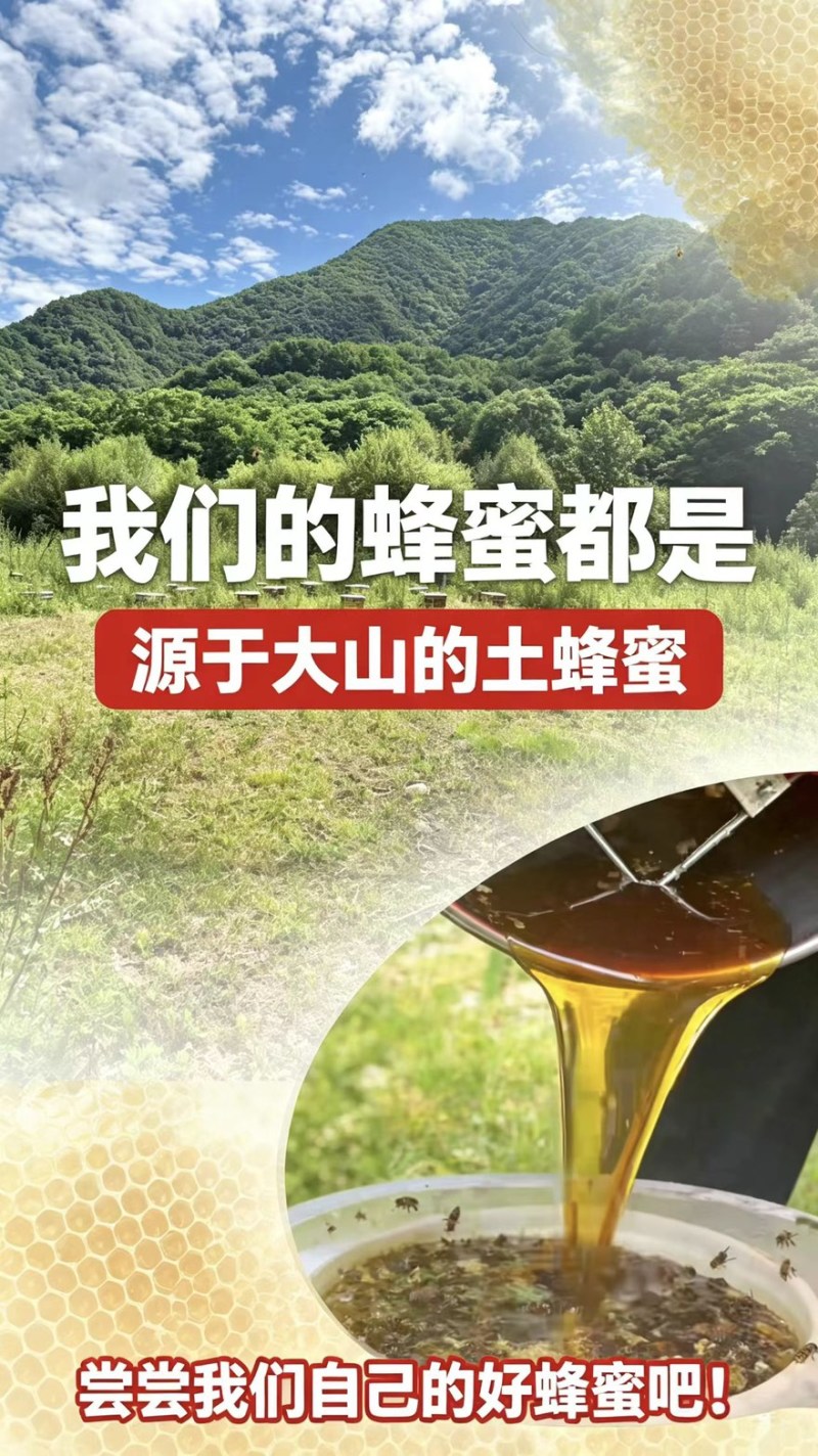 产地直发关山土蜂蜜保真不掺糖量大优惠