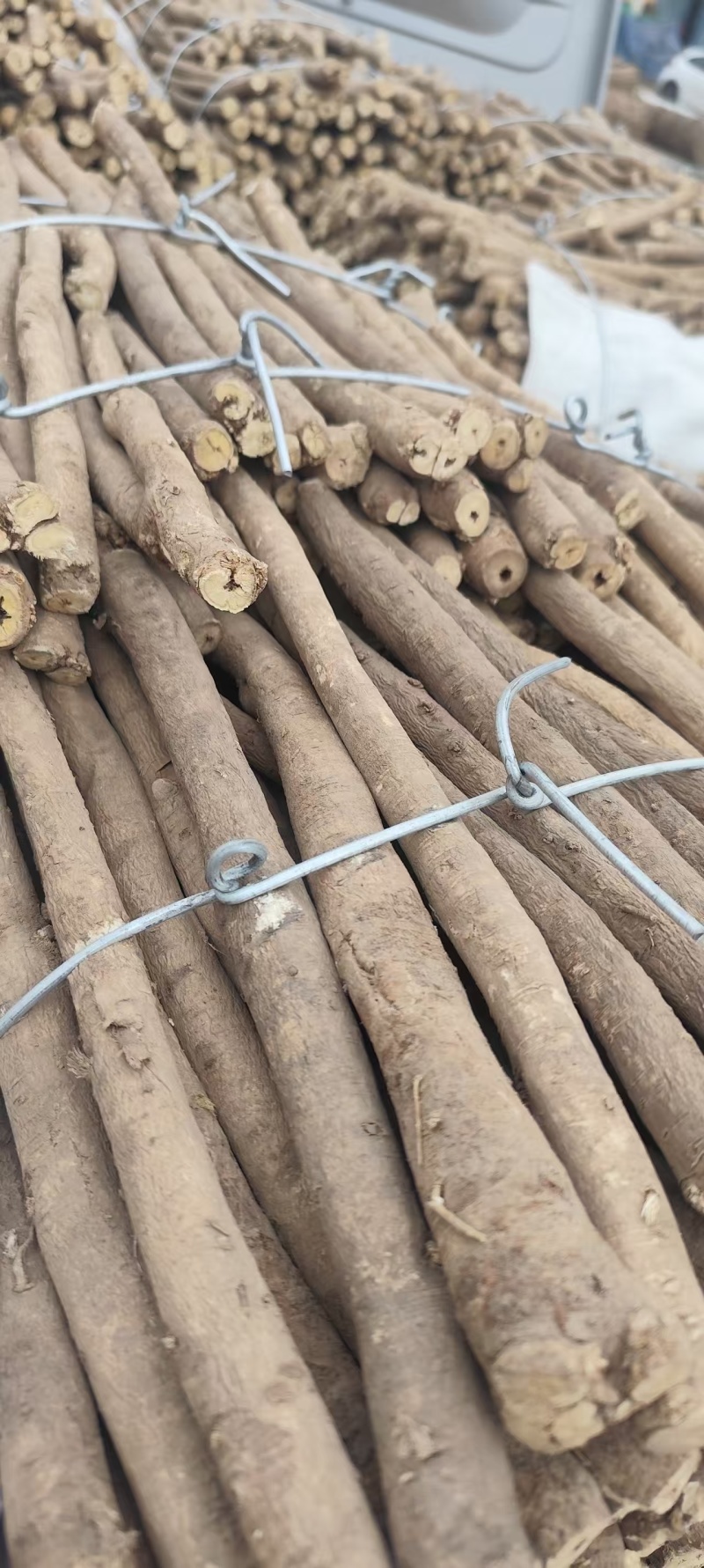 甘肃地道黄芪陇西县黄芪质量保证尽量以客户要唯主！！