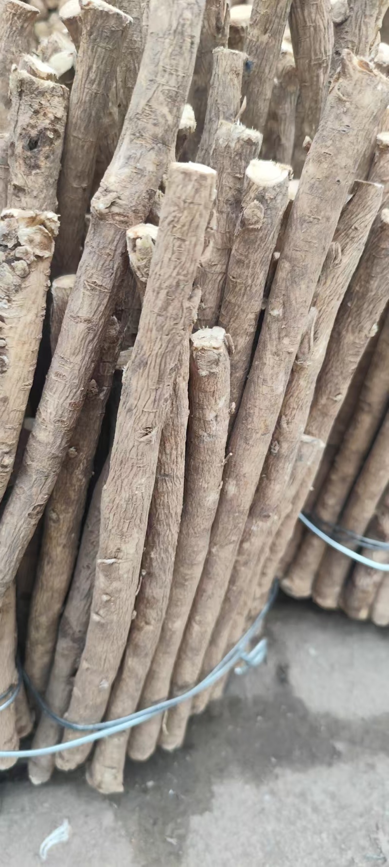 甘肃地道黄芪陇西县黄芪质量保证尽量以客户要唯主！！