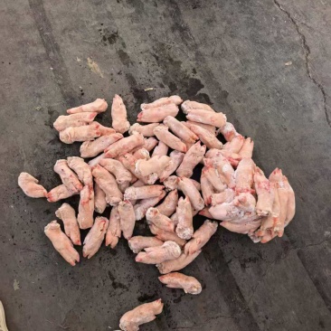 小猪蹄