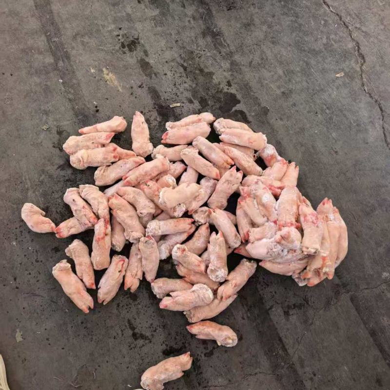 小猪蹄