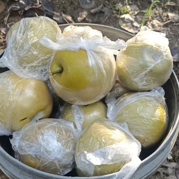 来哟，来买黄花梨哟，量大从优哈！欢迎各位老板！！