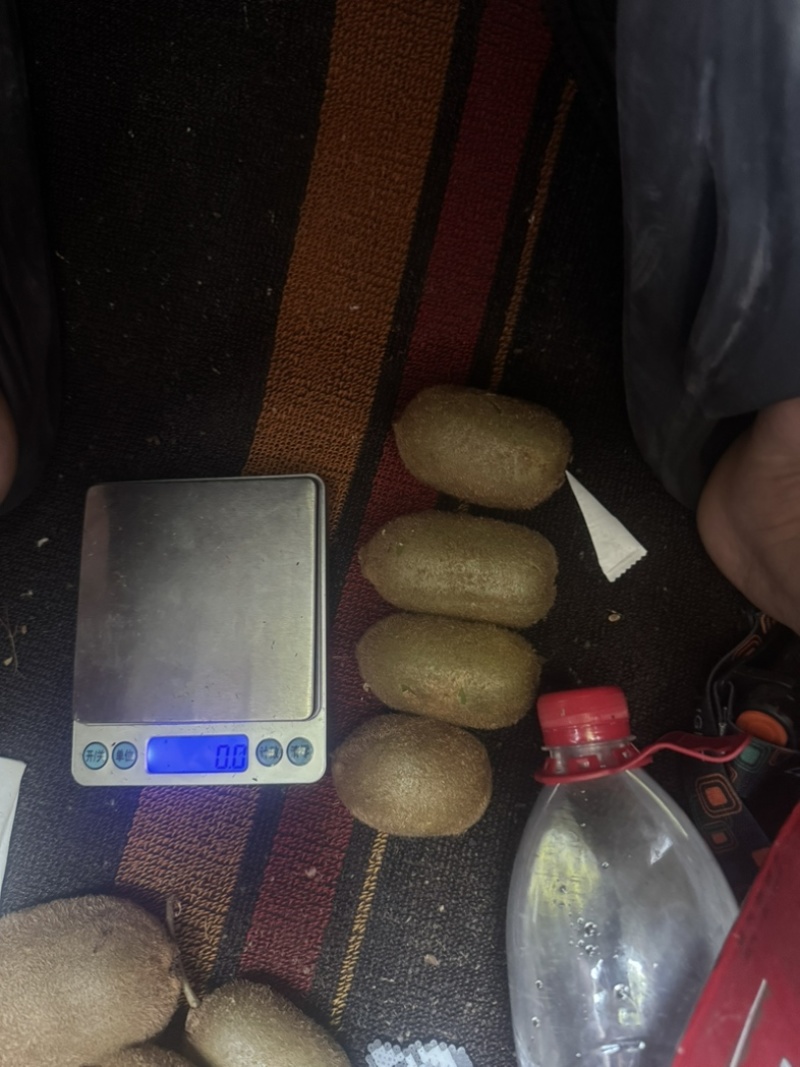 凤凰绿心猕猴桃.供应电商