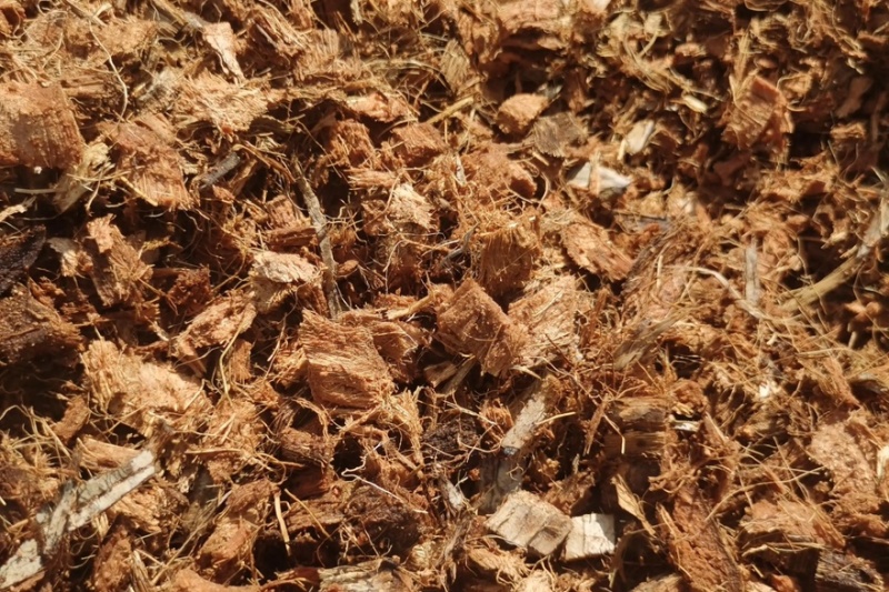 椰糠泥炭土大量有货欢迎来采购